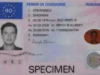 Test psihologic permis auto: Tot ce trebuie să stii pentru examenul psihologic la scoala de soferi test-psihologic-permis-auto-psihologic-scoala-de-soferi