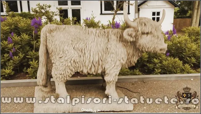 Statueta vacuta Highland, galben patinat, model S106