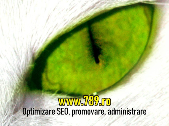 Optimizare SEO Timisoara, promovare site-uri - Imagine 1