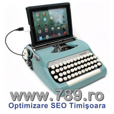 Optimizare SEO Timisoara, promovare site-uri - Imagine 2