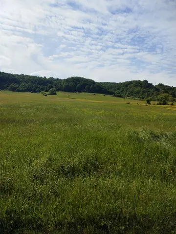 Intravilan Statiune Balneara Transilvania