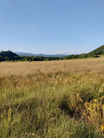 Intravilan Statiune Balneara Transilvania
