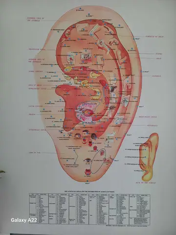 Auriculoterapie - Medicina alternativa