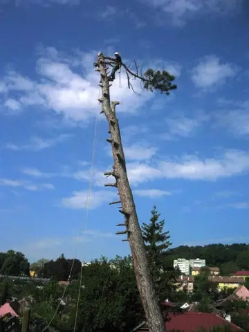 Firma alpinism utilitar Cluj