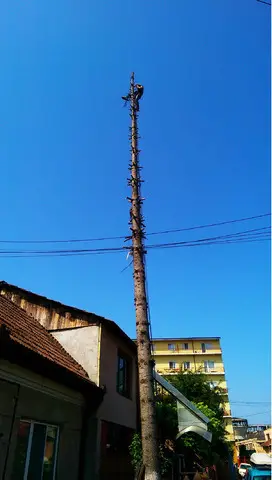 Firma alpinism utilitar Cluj