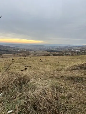 Teren intravilan 6 km de Auchan Iris