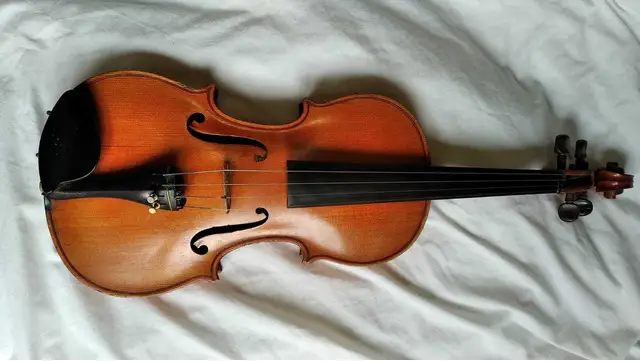 vand vioara de maestru