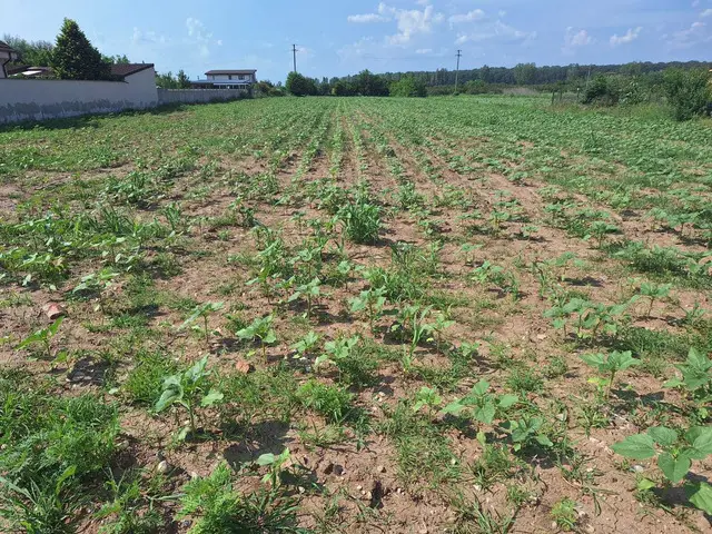 Izvorani, Ilfov - teren intravilan 3100 mp