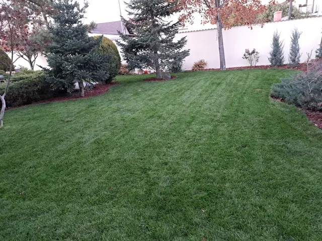 Amenajari spatii verzi si Sisteme de irigatii