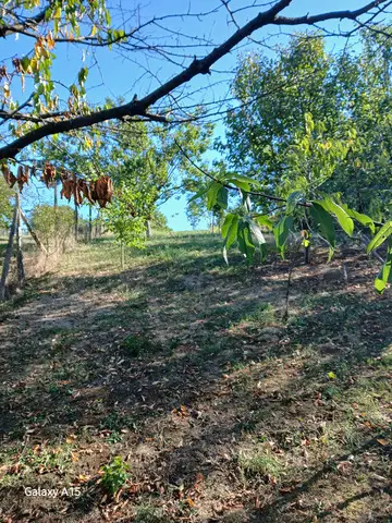 Teren intravilan cu fundatie de vanzare