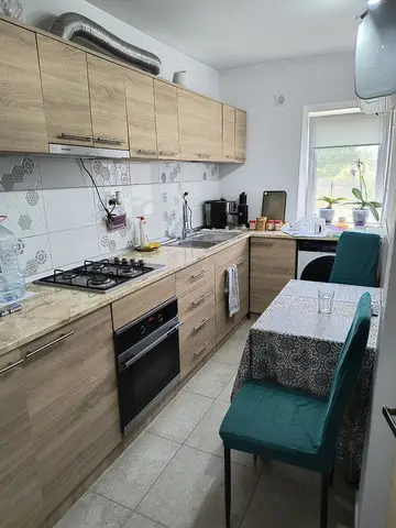 Casa si curte de vanzare, beci, 2 terase, 2 fantani