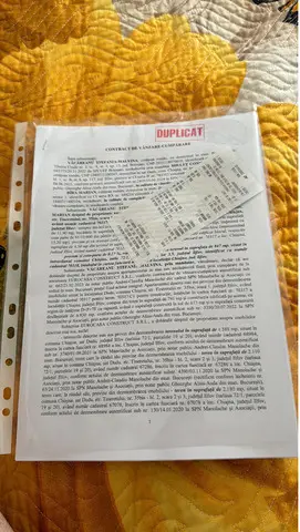 Proprietar ofer luare in spatiu