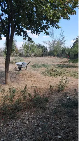 Lucrez cu plata la zi zilier