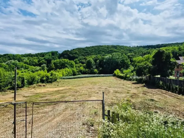 Teren de vanzare 5000 mp | Deschidere 50 m