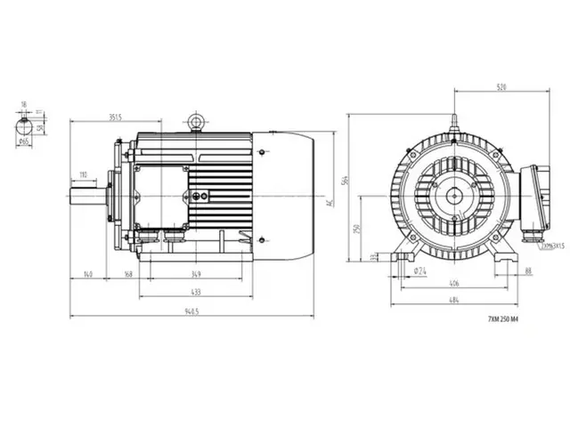 Motor electric trifazat 55kw 1400rpm 250 B3