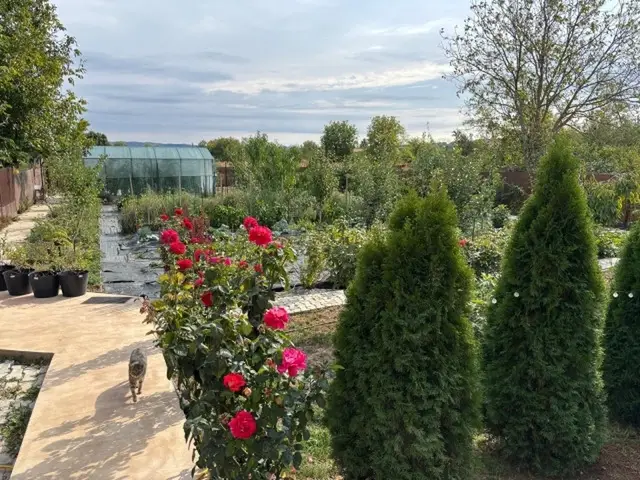Casa, 5 camere, teren 1000mp, Mehedinta, 220.000euro