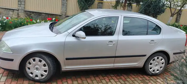 Skoda Octavia 2, an 2006, motor 1.9 TDI, 105 CP