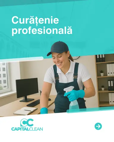 Servicii de curatenie prin Unitate Protejata