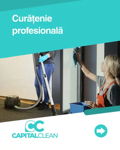 Servicii de curatenie prin Unitate Protejata