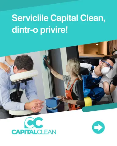 Servicii de curatenie prin Unitate Protejata