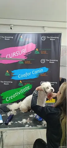 Curs calificare Coafor Canin