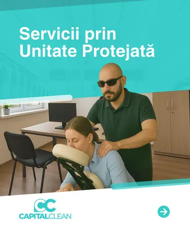 Solutii pentru eliminarea plosnitelor de pat