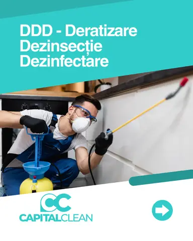 Solutii pentru eliminarea plosnitelor de pat