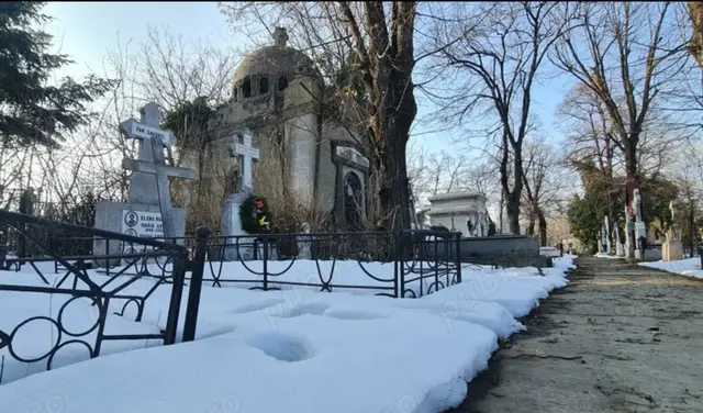 Cavou Monumental 8 Locuri Cimitirul Bellu, Bucuresti