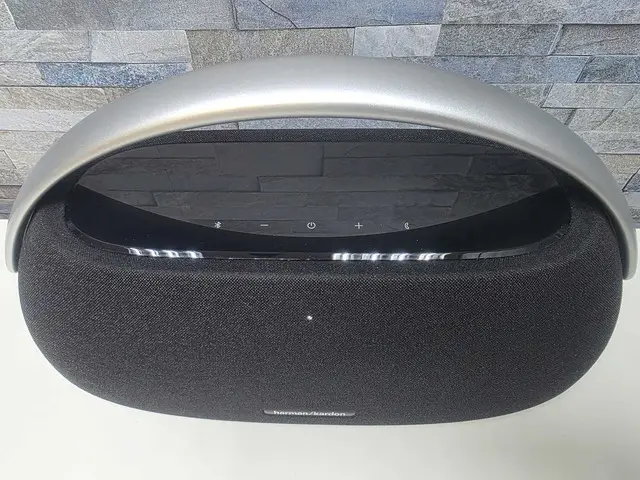 Harman Kardon GO + PLAY 3