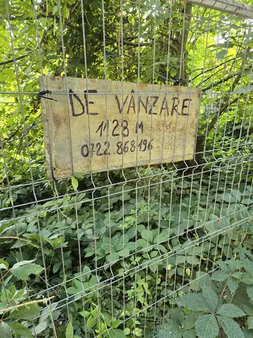 Teren langa padure