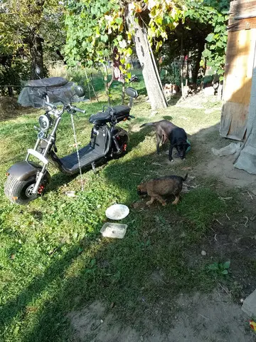 scuter electric Harley Davidson