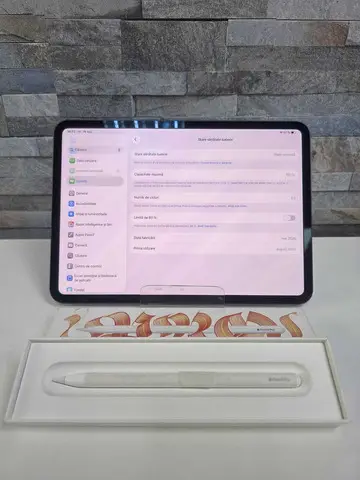 iPad Pro 11 inch(M4), MEM 1TB
