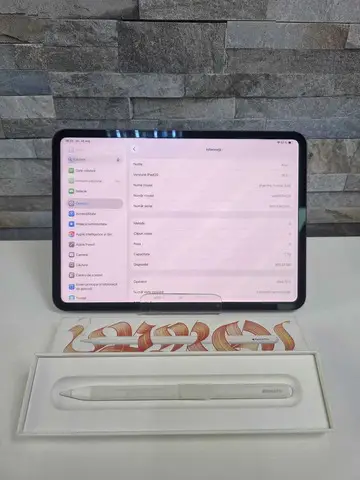 iPad Pro 11 inch(M4), MEM 1TB