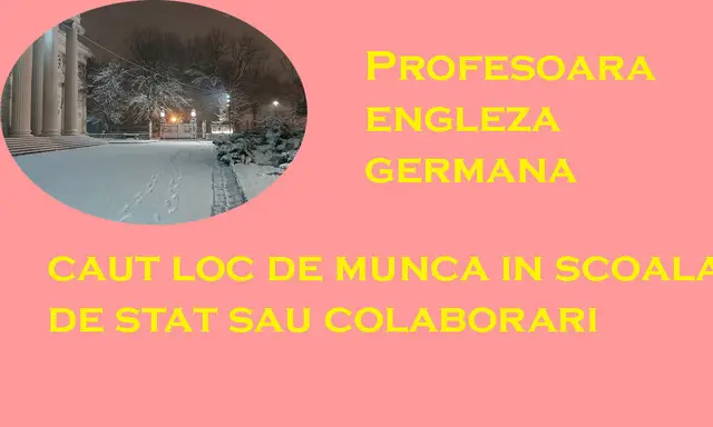 profesor cu acte engleza-germana