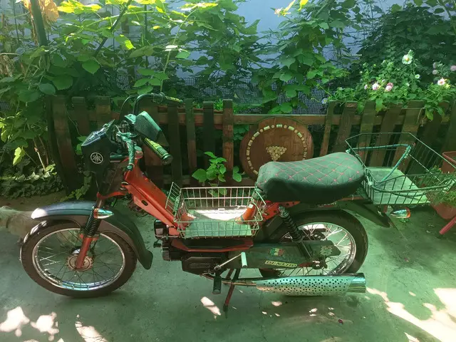 Vanzare moped Califfone Rizzato