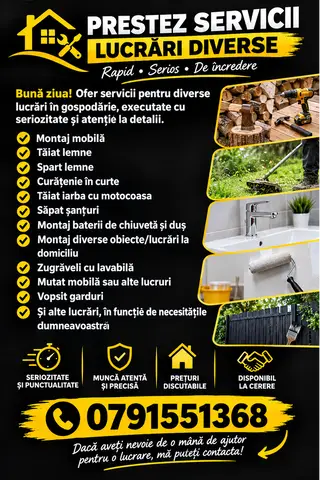 Prestez diverse servicii